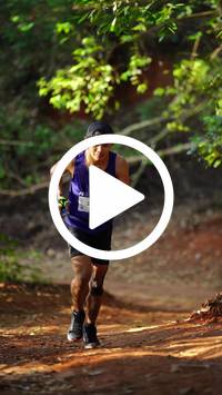 BIB:  <button type="button" onclick="openModal(27821640)" class="btn btn-primary btn-sm float-right" data-toggle="modal" data-target=".modal-high-quality">
                <i class="fa fa-download"></i> Download
                </button>